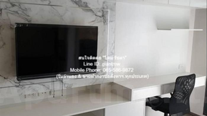  image4