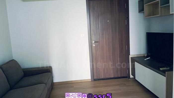  image3