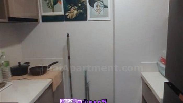  image5