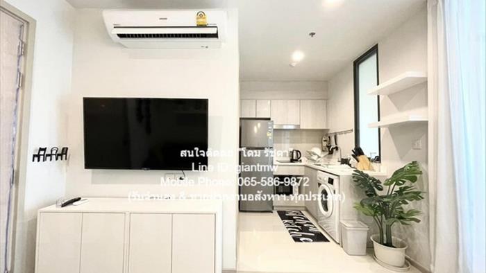  image5