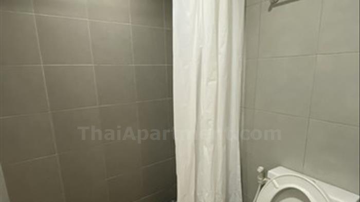  image3