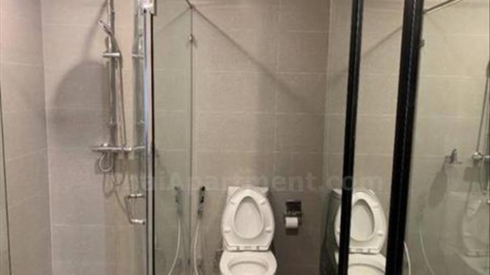  image5