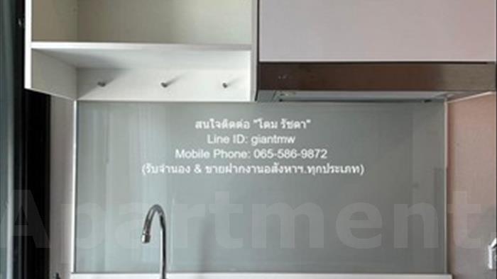  image5