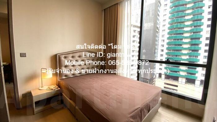  image4