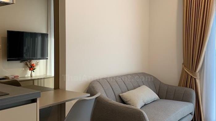  image5