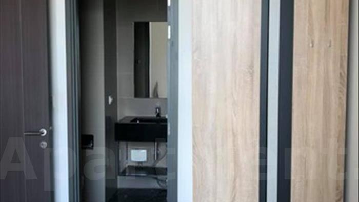  image4