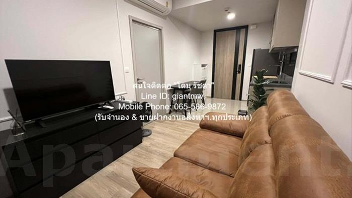  image3