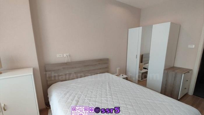  image3
