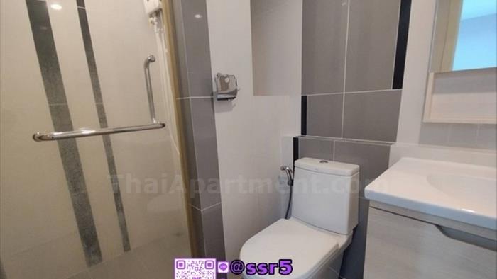  image4