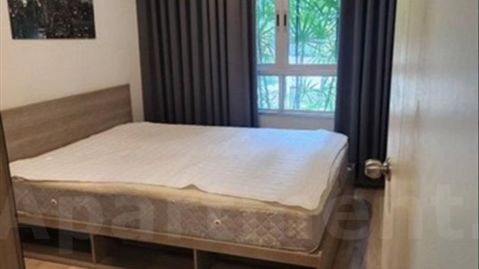 คอนโด-ให้เช่า-เอลลิโอ-เดล-มอสส์