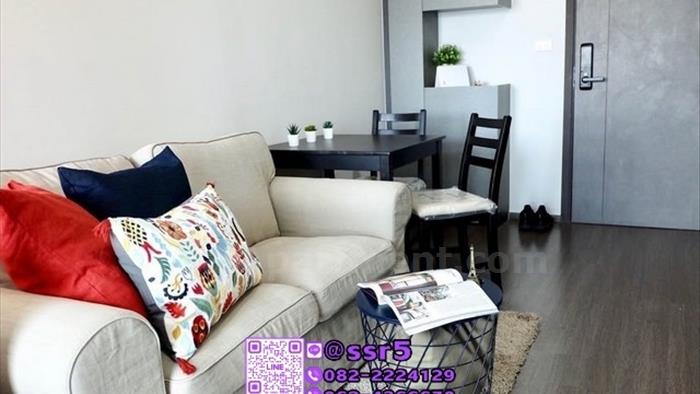  image3