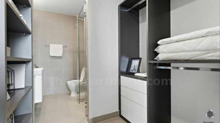  image3