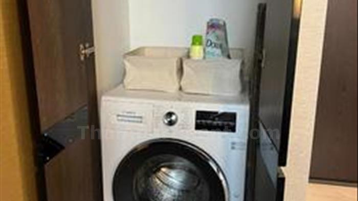  image5