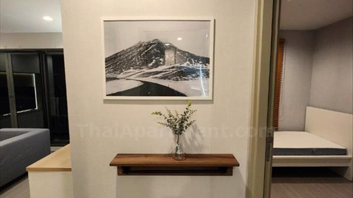  image4