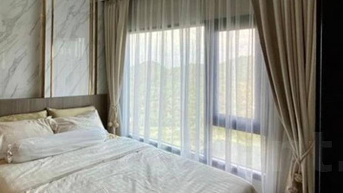  image3