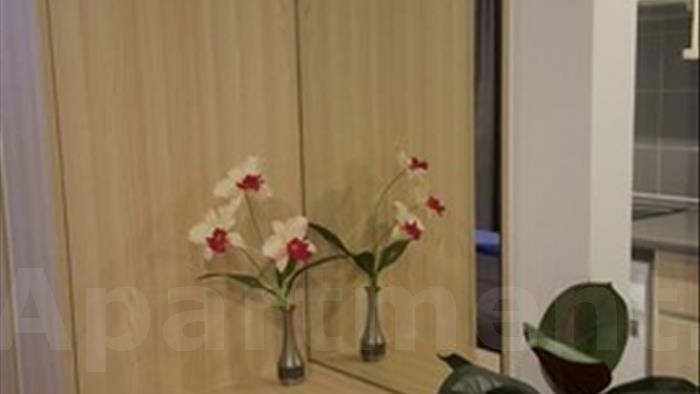  image5