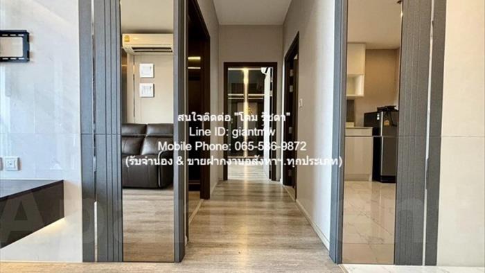  image4