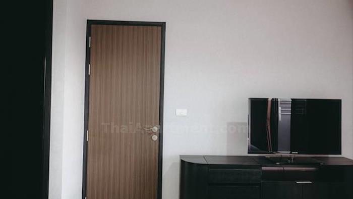  image4
