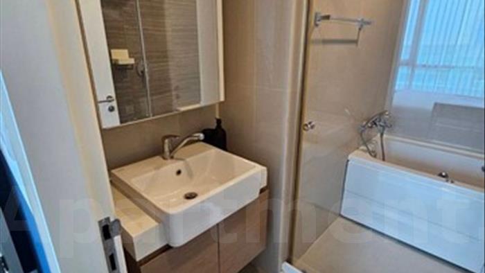  image5