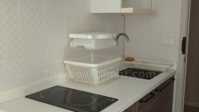  image2