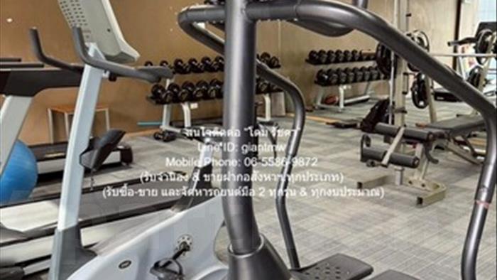  image3