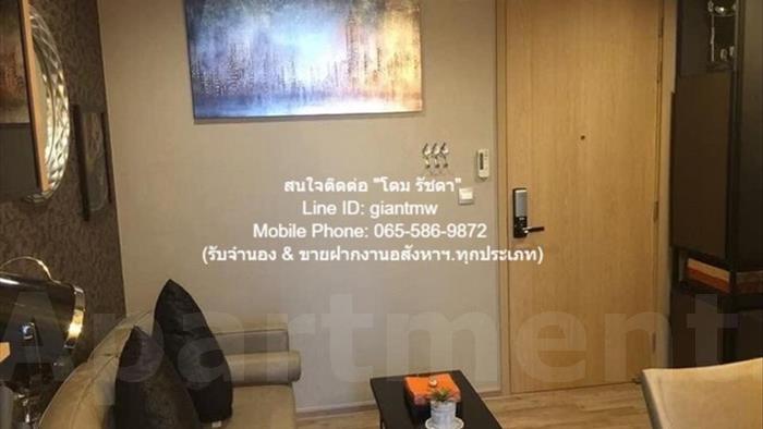  image4