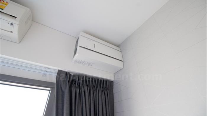  image4