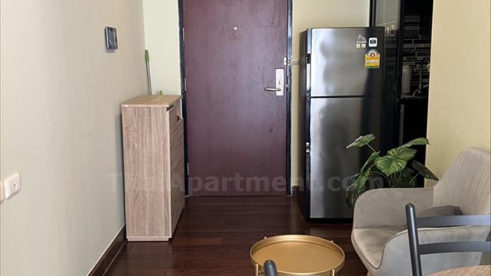  image4