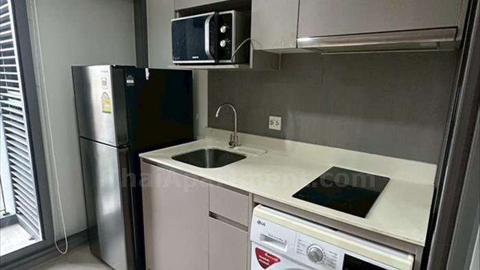  image4