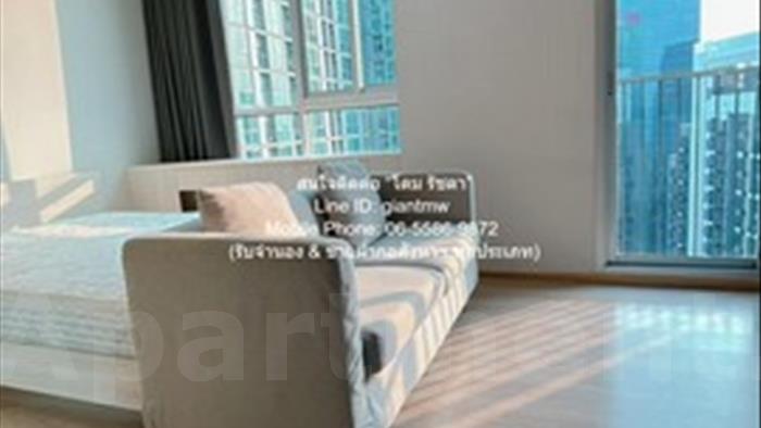  image4