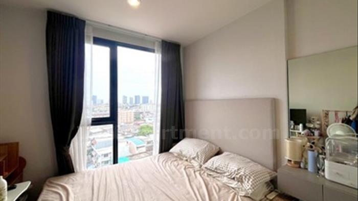  image3