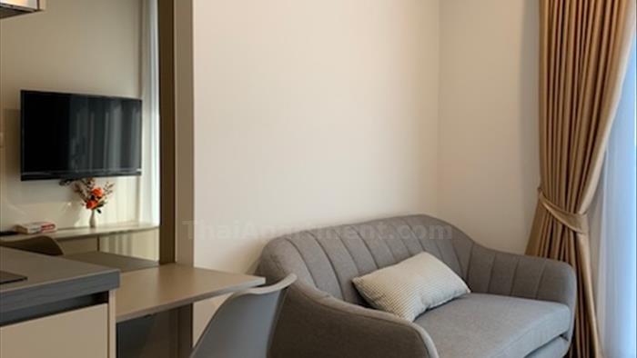  image3