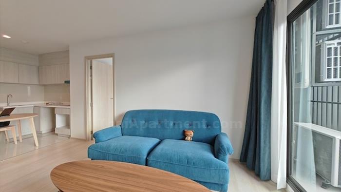  image3