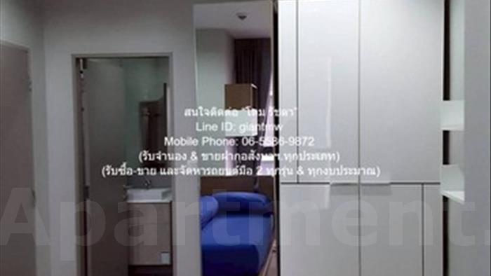  image4