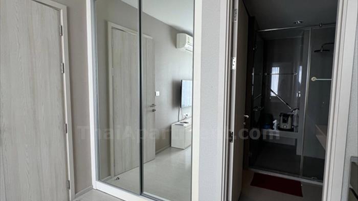  image5