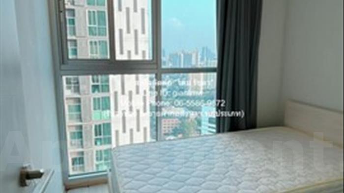  image5