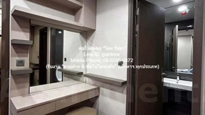  image4