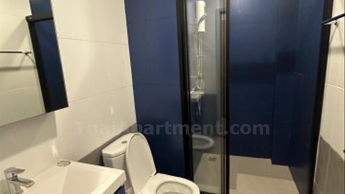  image3