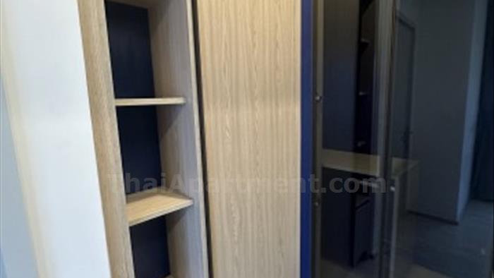  image5