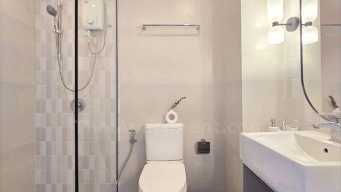  image4