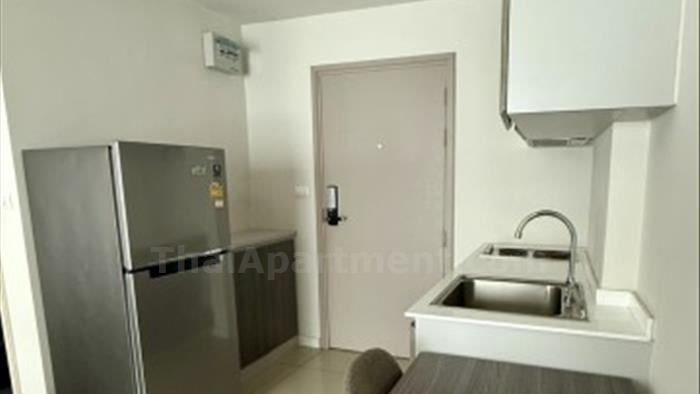  image4