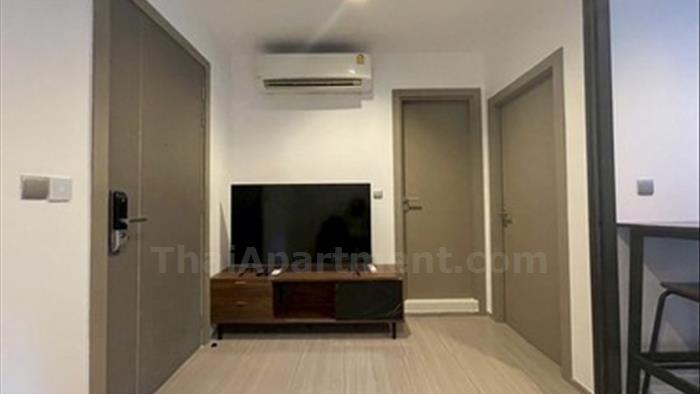  image5