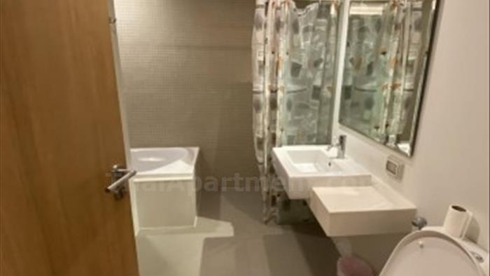  image4