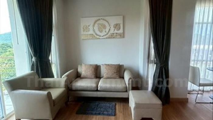  image3