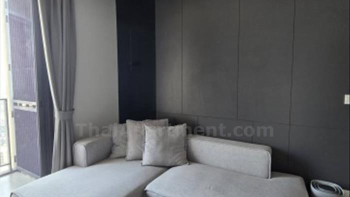  image3
