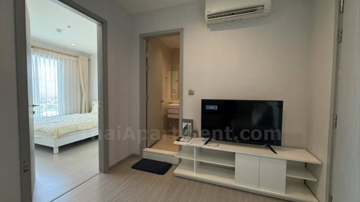condominium-for-rent-life-sukhumvit-62