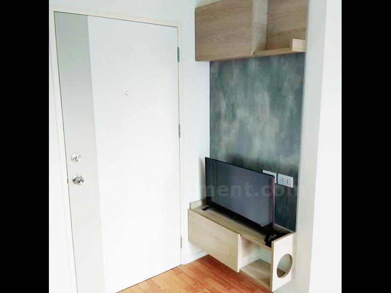  image4