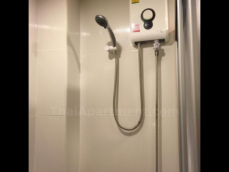  image4