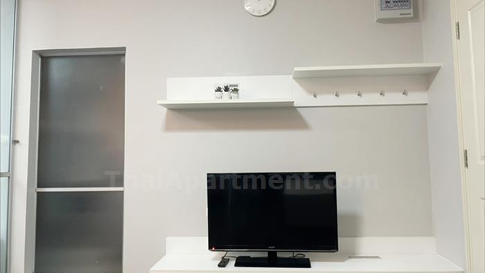  image4