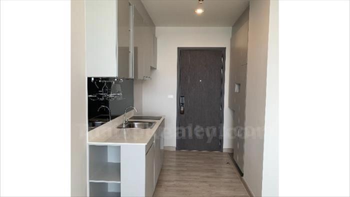  image3